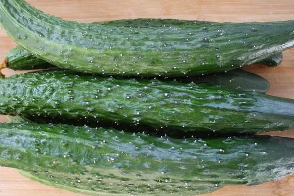 Cucumber — Stock Photo, Image