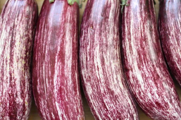 Eggplant — Stock Photo, Image