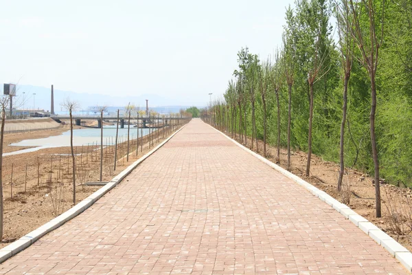 Sidewalk in the park — Stock Photo, Image