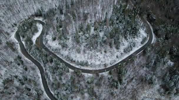 Imágenes Aéreas Gran Altitud Una Carretera Con Curvas Las Montañas — Vídeo de stock