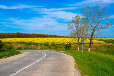 Arka planda mavi gökyüzünün altında bir yol ve tecavüz alanı olan kırsal manzara fotoğrafçılığı. Fotoğraf gündüz vakti çekilmişti. Tarımsal arazili bir köy yolunun fotoğrafı. 