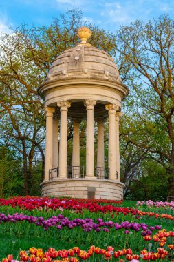 Romanya 'nın Craiova kentindeki Nicolae Romanescu Parkı' nın bahçesindeki lale çiçekleri. Lale çiçekleri parkta çiçek açıyor..