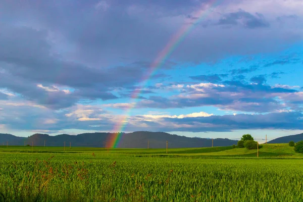 Fotografia Arco Íris Sobre Campo Campo Depois Uma Forte Chuva — Fotografia de Stock