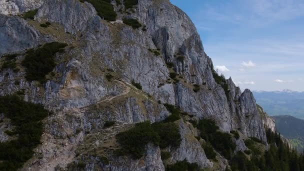 Madarak Kilátás Nyílik Hegycsúcsra Piatra Craiului Nemzeti Park Található Romániában — Stock videók