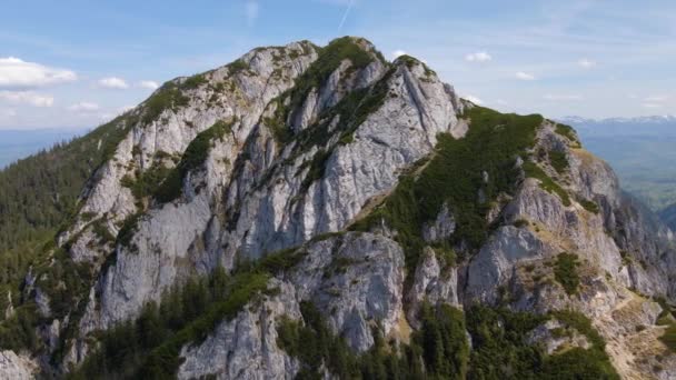 Fåglar Syn Bergstopp Piatra Craiului National Park Ligger Rumänien Bilder — Stockvideo
