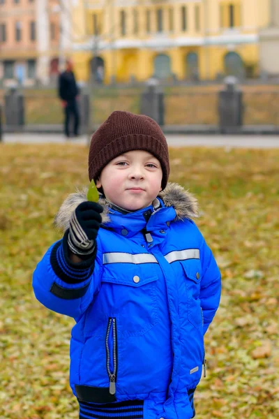 Chłopiec w Błękitnej Kurtki gospodarstwa zielony liść — Zdjęcie stockowe