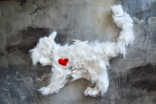 white coat is laid out in shape of cat on concrete table. concept of pet grooming, allergies. bunch of cat hair after grooming is laid out in shape of cat. removal of excess animal hair during molting