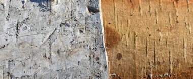 Ağaç gövdesinin dokusu, kabuklu ve kabuksuz iki parçaya bölünmüş. Ağaçlarda hasar var. Soba için odun. Yakından bakınca ağaç kabuğunun üst tabakası güneş ışığında parçalanmış. Metin için boşluk