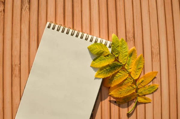 黄色い紅葉の白いノート テキスト用のスペース 秋の背景 紙の空白のシートの枝 秋の学校のテーマ 木製のテーブルの上の空白のメモ帳 学校に戻る — ストック写真
