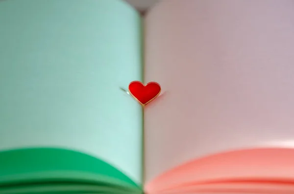 Λεπτή Κάρτα Παστέλ Χρώματα Ανοιχτό Βιβλίο Ανοιχτόχρωμες Πράσινες Και Ροζ — Φωτογραφία Αρχείου