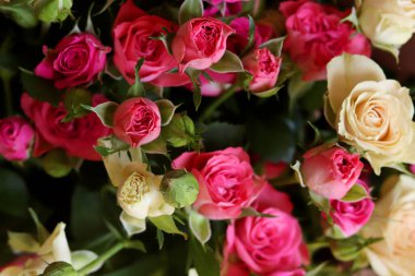 Pembe ve sarı güllerin arka planı