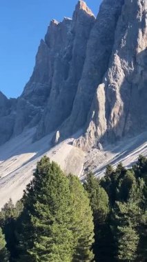 Alpe di Funes, Dolomitler, İtalya 'daki Odle Peaks' in yakın görüntüsü. Parlak mavi gökyüzünün altında, çam ormanlarının üzerinde dramatik kayalık uçurumlar yükselir. Saf alp görkemi..