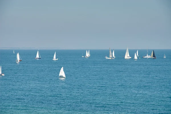 Gyönyörű táj, a tenger sok vitorla a láthatáron — Stock Fotó