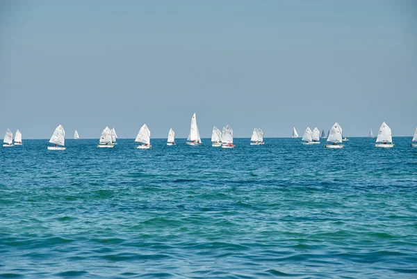Vackra landskap med havet med många segel vid horisonten — Stockfoto