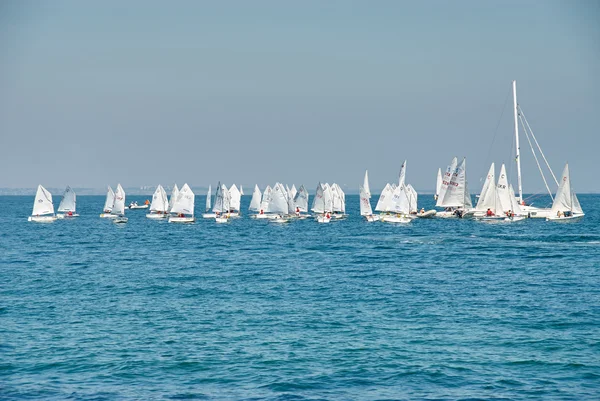 Vackra landskap med havet med många segel vid horisonten — Stockfoto