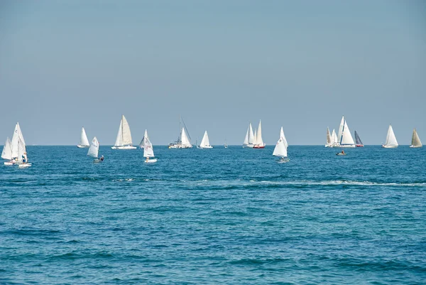 Gyönyörű táj, a tenger sok vitorla a láthatáron — Stock Fotó