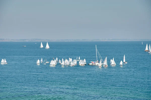 Vackra landskap med havet med många segel — Stockfoto