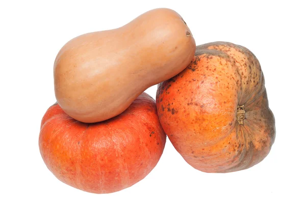 Orange pumpkins isolated on white background cutout — Stock Photo, Image