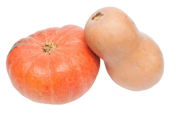 Orange pumpkins isolated on white background cutout — Stock Photo, Image