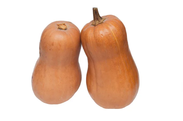 Orange lång pumpor isolerad på vit bakgrund cutout — Stockfoto