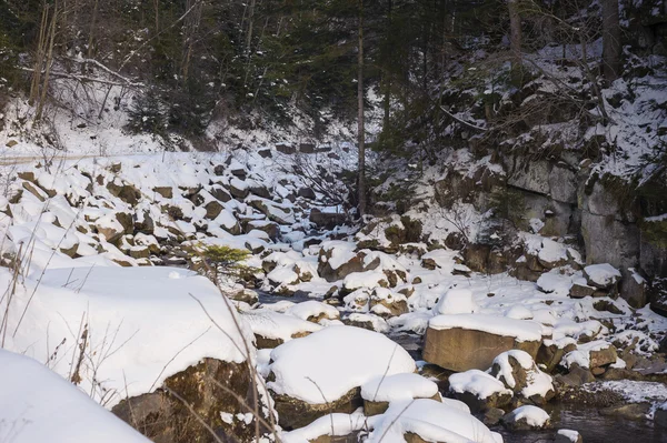 Rivière de montagne en hiver — Photo