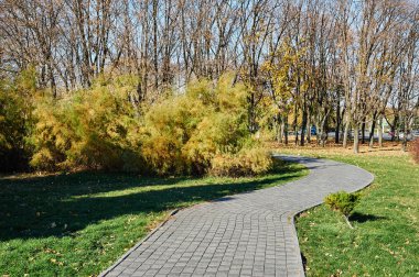 sonbahar Park yürüme yolunda