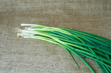 Bir çuval bezi üzerinde taze yeşil soğan