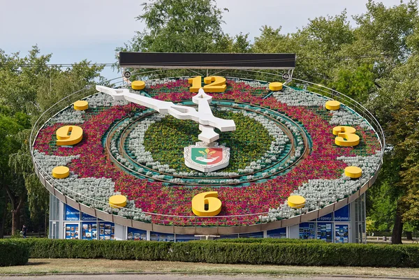 Relógio de flores em Krivoy Rog — Fotografia de Stock