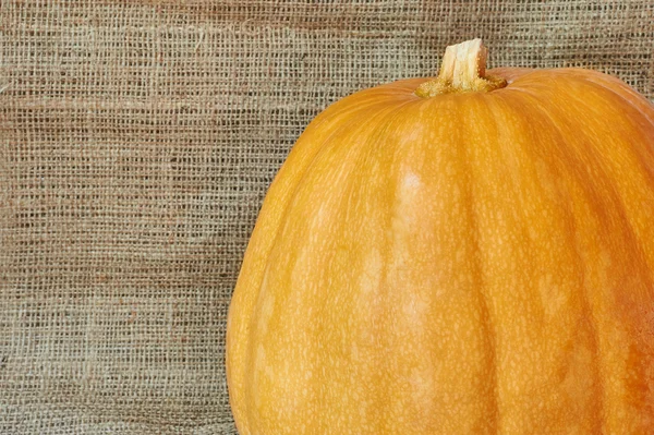 Autumn pumpkin on a burlap in a rustic style — 图库照片