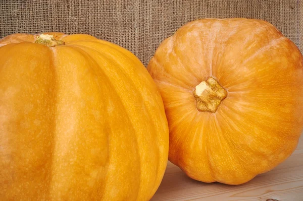 Calabazas de otoño sobre fondo de madera de estilo rústico — Foto de Stock