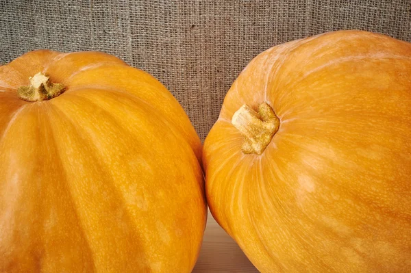 Citrouilles d'automne sur un fond en bois dans un style rustique — Photo