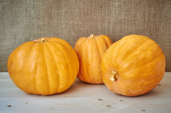 Autumn pumpkins on a wooden background in a rustic style — Stock Photo, Image