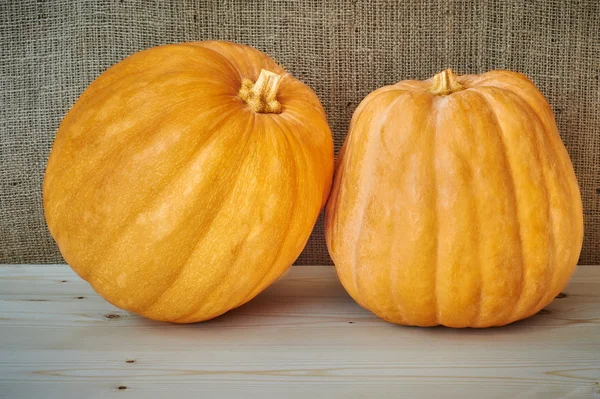 Calabazas de otoño sobre fondo de madera de estilo rústico — Foto de Stock