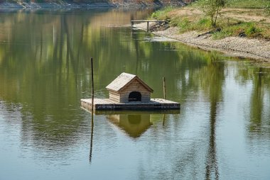 Ördek-ev parktaki gölün ortasındaki