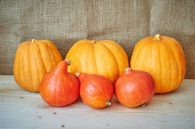 Bir Rusti'yi bir ahşap arka plan üzerinde sonbahar kırmızı ve Turuncu kabak