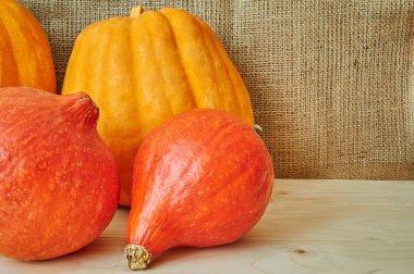 Bir Rusti'yi bir ahşap arka plan üzerinde sonbahar kırmızı ve Turuncu kabak