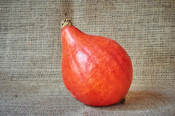 Herbstlicher roter Kürbis auf einem Rüschenhintergrund im rustikalen Stil — Stockfoto