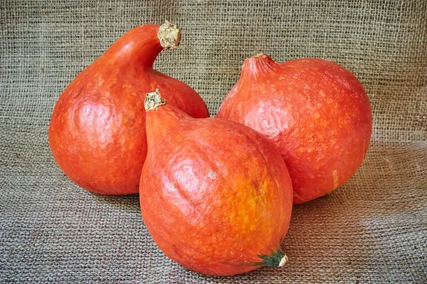 Otoño calabaza roja sobre un fondo de arpillera con un estilo rústico — Foto de Stock