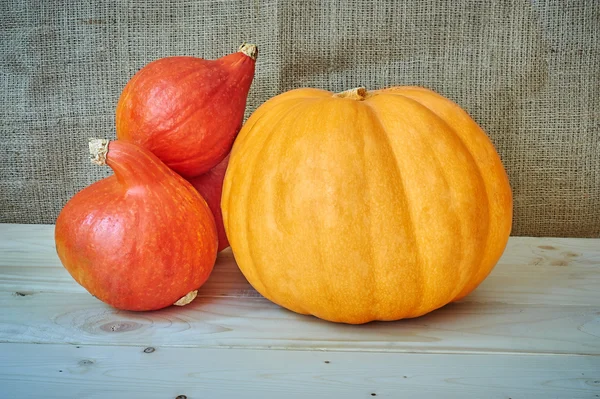 Zucche di autunno rosse e arancioni su uno sfondo di legno in un rusti — Foto Stock