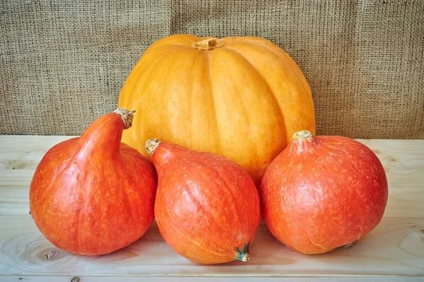 Zucche di autunno rosse e arancioni su uno sfondo di legno in un rusti — Foto Stock