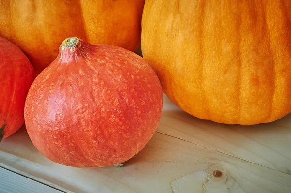 Otoño calabazas de rojos y naranjas sobre un fondo de madera en un rusti —  Fotos de Stock