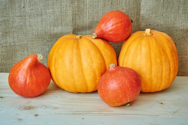 A fából készült háttér egy rusti őszi piros és narancssárga sütőtök — Stock Fotó