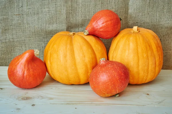 Autumn red and orange pumpkins on a wooden background in a rusti — Stock Photo, Image