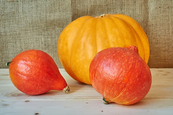 Rusti の木製の背景に赤とオレンジの秋カボチャ — ストック写真