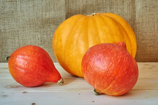 Zucche di autunno rosse e arancioni su uno sfondo di legno in un rusti — Foto Stock