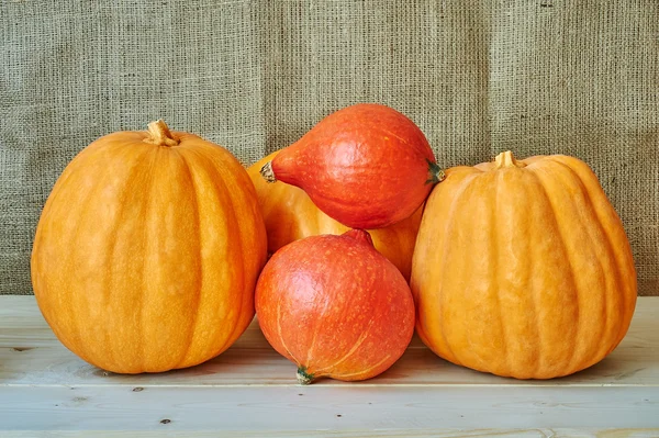 Autumn red and orange pumpkins on a wooden background in a rusti — Stock Photo, Image