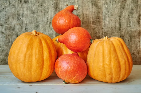 Zucche di autunno rosse e arancioni su uno sfondo di legno in un rusti — Foto Stock