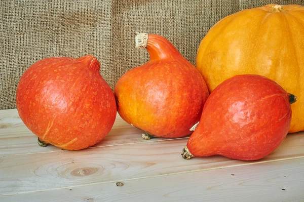 Podzimní červené a oranžové dýně na dřevěné pozadí v rusti — Stock fotografie