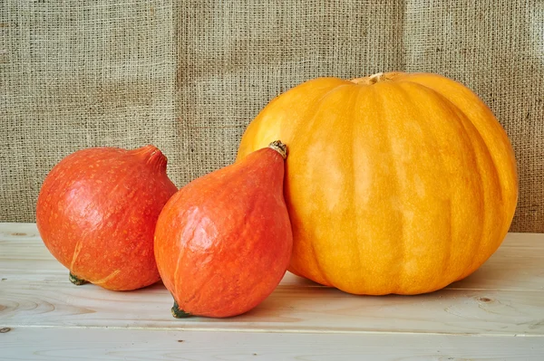 Zucche di autunno rosse e arancioni su uno sfondo di legno in un rusti — Foto Stock