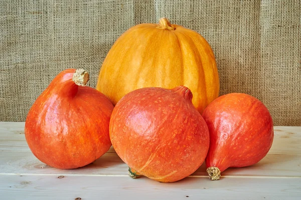 Otoño calabazas de rojos y naranjas sobre un fondo de madera en un rusti —  Fotos de Stock